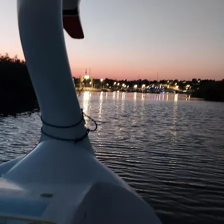 Pensiunea Matrioska Фермерский дом