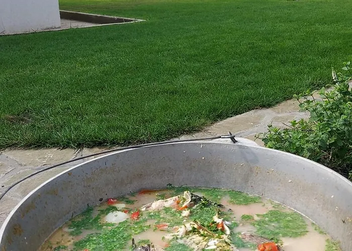 Pensiunea Matrioska Lantgård *